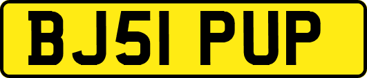 BJ51PUP