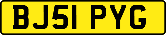 BJ51PYG