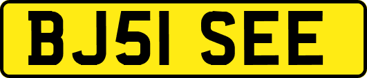BJ51SEE
