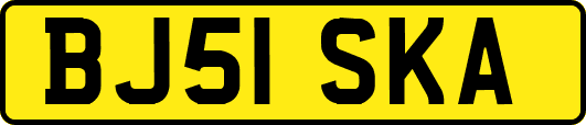 BJ51SKA
