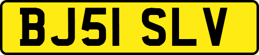 BJ51SLV