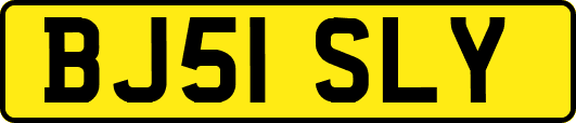 BJ51SLY