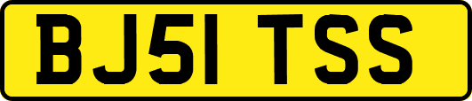 BJ51TSS