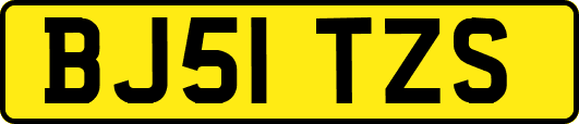 BJ51TZS