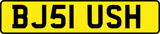BJ51USH