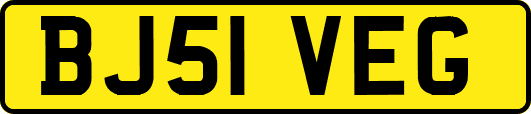 BJ51VEG