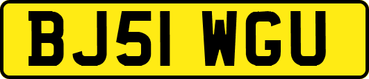 BJ51WGU