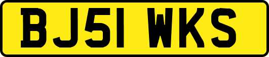 BJ51WKS