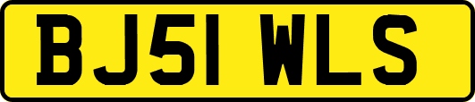 BJ51WLS