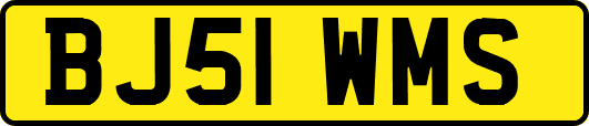 BJ51WMS