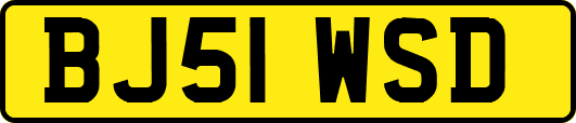 BJ51WSD