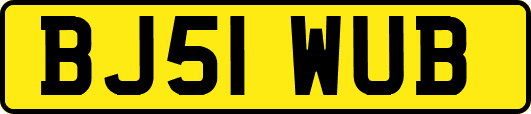 BJ51WUB