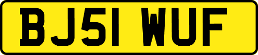 BJ51WUF