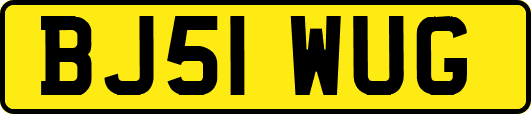 BJ51WUG