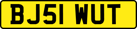 BJ51WUT