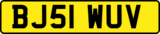 BJ51WUV