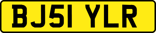 BJ51YLR