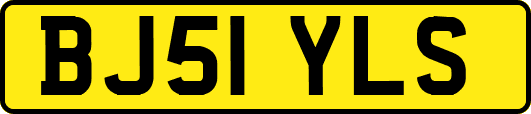 BJ51YLS