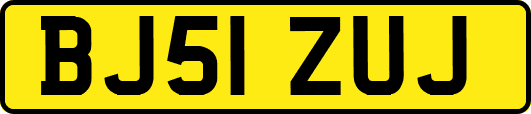 BJ51ZUJ