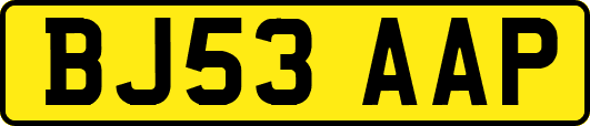 BJ53AAP