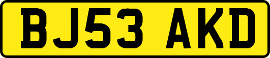 BJ53AKD