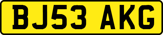 BJ53AKG