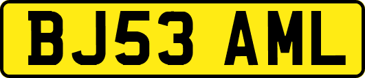 BJ53AML