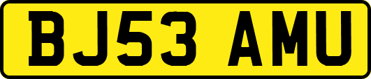 BJ53AMU