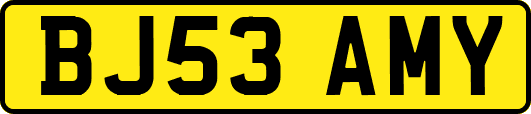 BJ53AMY