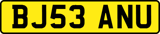 BJ53ANU