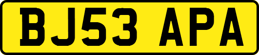BJ53APA