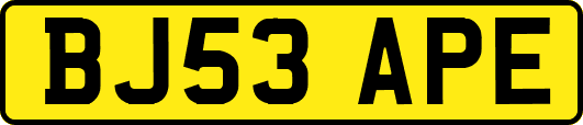 BJ53APE