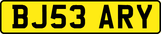 BJ53ARY
