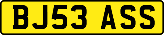 BJ53ASS