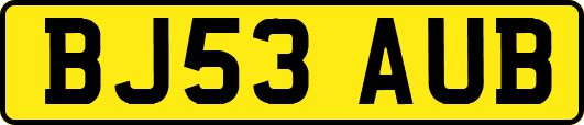 BJ53AUB
