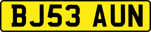 BJ53AUN