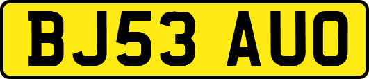BJ53AUO
