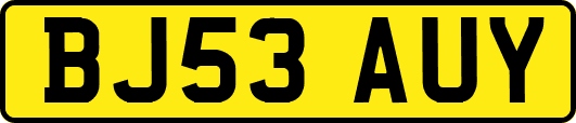 BJ53AUY