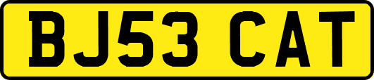 BJ53CAT