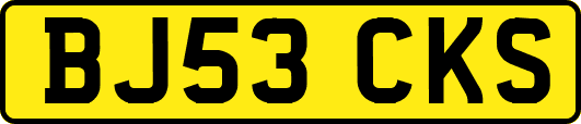 BJ53CKS