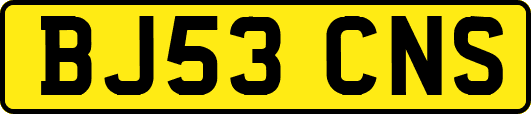 BJ53CNS