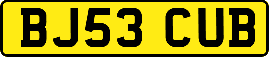 BJ53CUB
