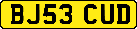 BJ53CUD
