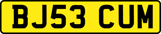 BJ53CUM