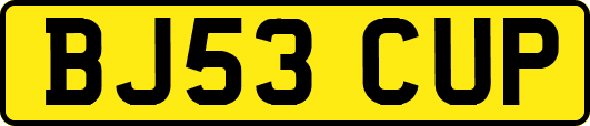 BJ53CUP