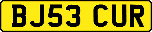 BJ53CUR