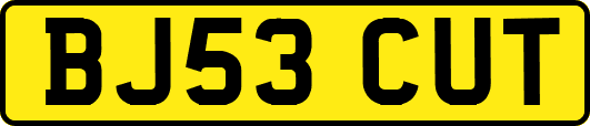 BJ53CUT