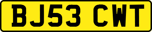 BJ53CWT