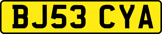 BJ53CYA