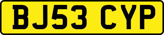 BJ53CYP